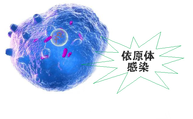 怎么不知不覺就感染了沙眼依原體呢？